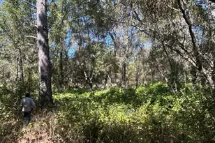 9153 Manzanita Ln, Oregon House, CA 95962 - Photo 62