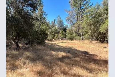 9153 Manzanita Lane, Oregon House, CA 95962 - Photo 58