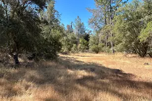 9153 Manzanita Ln, Oregon House, CA 95962 - Photo 58