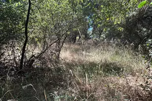 9153 Manzanita Ln, Oregon House, CA 95962 - Photo 66