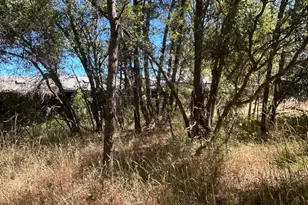 9153 Manzanita Ln, Oregon House, CA 95962 - Photo 68