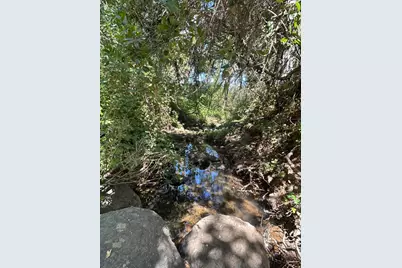 9153 Manzanita Lane, Oregon House, CA 95962 - Photo 34