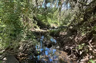 9153 Manzanita Ln, Oregon House, CA 95962 - Photo 34