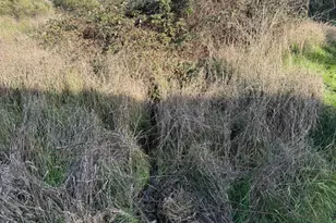 720 Pleasant Valley Rd, Diamond Springs, CA 95619 - Photo 30