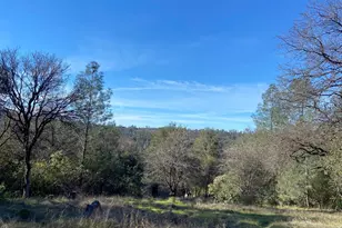 231 St Arlene Way, Oroville, CA 95966 - Photo 4