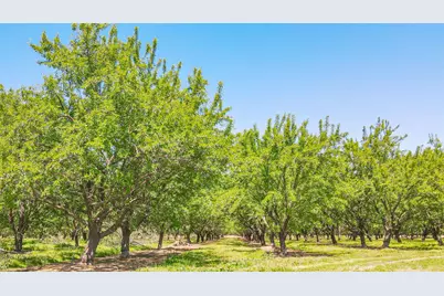 19688 Santa Fe, Escalon, CA 95320 - Photo 4