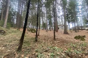 9427 Grizzly Flat Rd, Grizzly Flats, CA 95636 - Photo 36