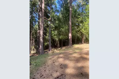 9427 Grizzly Flat Road, Grizzly Flats, CA 95636 - Photo 78