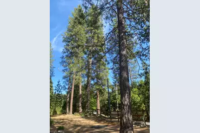 9427 Grizzly Flat Road, Grizzly Flats, CA 95636 - Photo 66