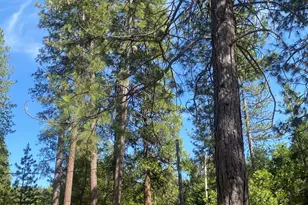 9427 Grizzly Flat Rd, Grizzly Flats, CA 95636 - Photo 66