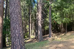 9427 Grizzly Flat Rd, Grizzly Flats, CA 95636 - Photo 74