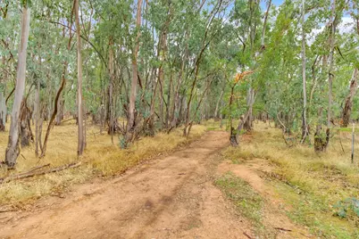 13435 Bennett Road, Herald, CA 95638 - Photo 70