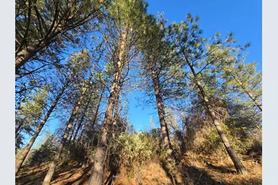 0 Double Eagle Way, Brownsville, CA 95919 - Photo 28