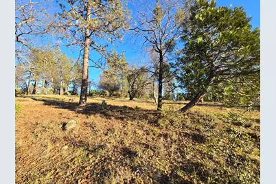 0 Double Eagle Way, Brownsville, CA 95919 - Photo 34