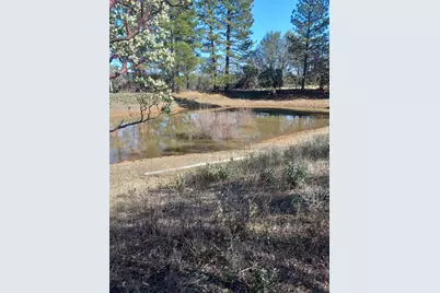 11006 Dawn Lane, Grass Valley, CA 95949 - Photo 4