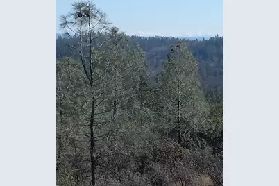 11006 Dawn Lane, Grass Valley, CA 95949 - Photo 8