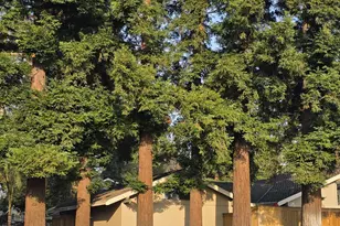 2130 University Park Dr, Sacramento, CA 95825 - Photo 20