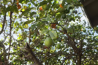 9415 Cherry Street, Oakland, CA 94603 - Photo 20