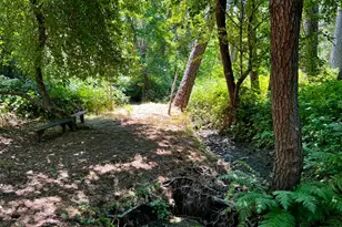 2018 Whistler Way, Somerset, CA 95684 - Photo 58