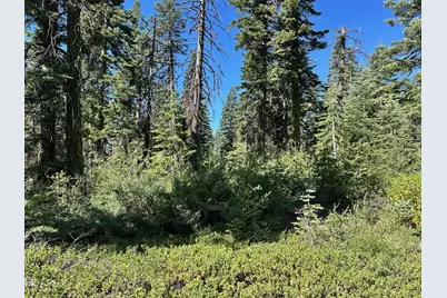 19231 Marsh Mill Road, Nevada City, CA 95959 - Photo 12
