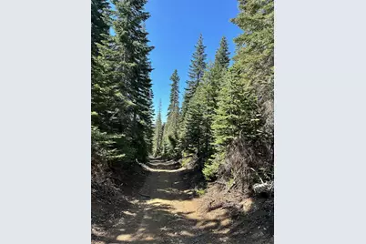 19231 Marsh Mill Road, Nevada City, CA 95959 - Photo 18
