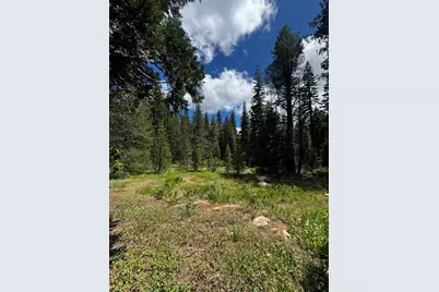 19231 Marsh Mill Road, Nevada City, CA 95959 - Photo 8