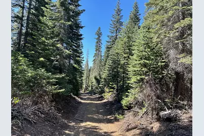 19231 Marsh Mill Road, Nevada City, CA 95959 - Photo 20