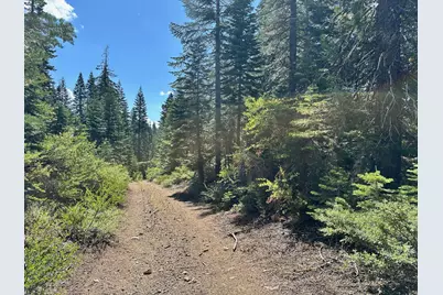 19231 Marsh Mill Road, Nevada City, CA 95959 - Photo 22