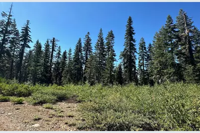 19231 Marsh Mill Road, Nevada City, CA 95959 - Photo 1