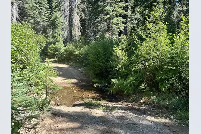 19231 Marsh Mill Road, Nevada City, CA 95959 - Photo 6