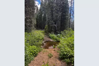 19231 Marsh Mill Road, Nevada City, CA 95959 - Photo 4