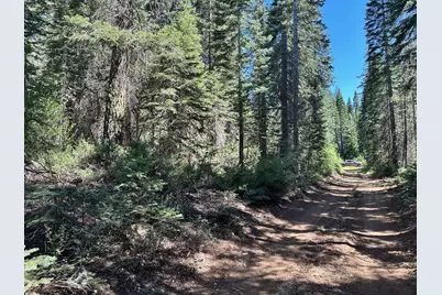 19372 Marsh Mill Road, Nevada City, CA 95959 - Photo 4