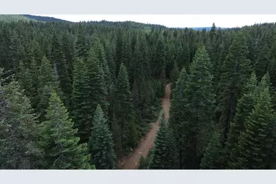 19372 Marsh Mill Road, Nevada City, CA 95959 - Photo 10
