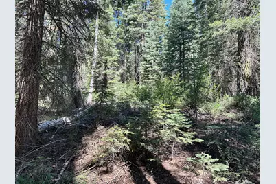 19372 Marsh Mill Road, Nevada City, CA 95959 - Photo 6