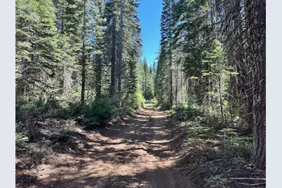 19372 Marsh Mill Road, Nevada City, CA 95959 - Photo 2