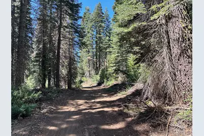 19372 Marsh Mill Road, Nevada City, CA 95959 - Photo 8