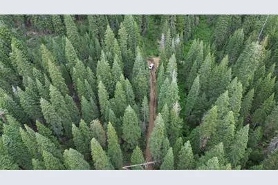 19372 Marsh Mill Road, Nevada City, CA 95959 - Photo 2