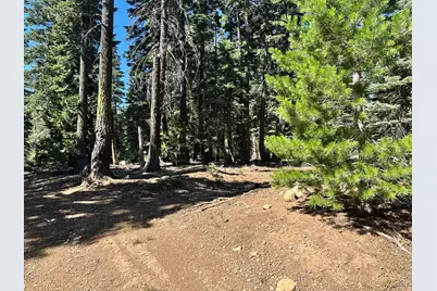 19611 Marsh Mill Road, Nevada City, CA 95959 - Photo 20