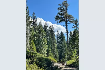 19611 Marsh Mill Road, Nevada City, CA 95959 - Photo 12