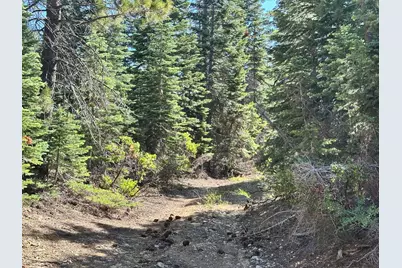 19611 Marsh Mill Road, Nevada City, CA 95959 - Photo 10