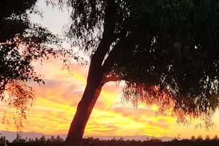 921 Kennedy Pl, Tracy, CA 95377 - Photo 36