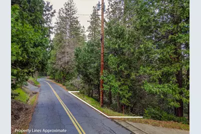 593 Avery Sheep Ranch Road, Avery, CA 95224 - Photo 4