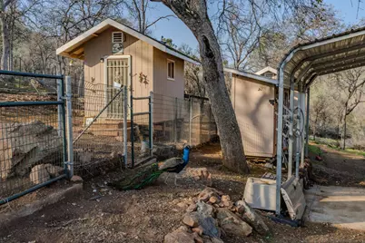 4402 Jaquima Drive, Angels Camp, CA 95222 - Photo 44