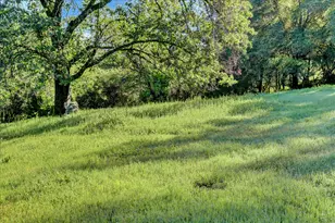 14319 Ballantree Ln, Grass Valley, CA 95949 - Photo 40