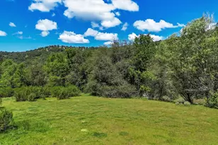 14319 Ballantree Ln, Grass Valley, CA 95949 - Photo 30