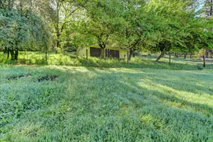 14319 Ballantree Ln, Grass Valley, CA 95949 - Photo 24