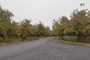 30944 Grooms Rd, Oakdale, CA 95361 - Photo 2