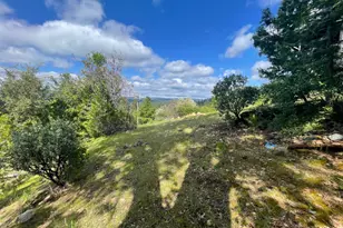 387 Snowberry Ct, Murphys, CA 95247 - Photo 32