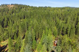 2428 Rancho Paradiso, Avery, CA 95224 - Photo 64