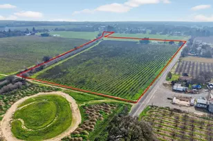 27350 Thornton Rd, Thornton, CA 95686 - Photo 18